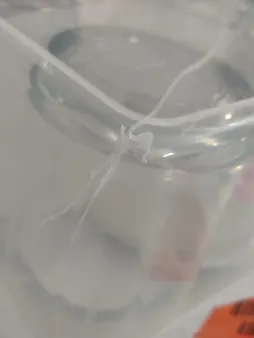 ست پیک نیک لیمون مدل 4 نفره کد 1783