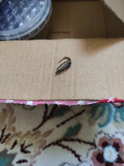 قلاب ماهیگیری موستاد مدل فنردار سایز 3 بسته 7 عددی