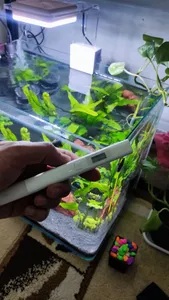 تجریه خرید گجت تست سلامت آب سفری شیاومی مدل Mi TDS