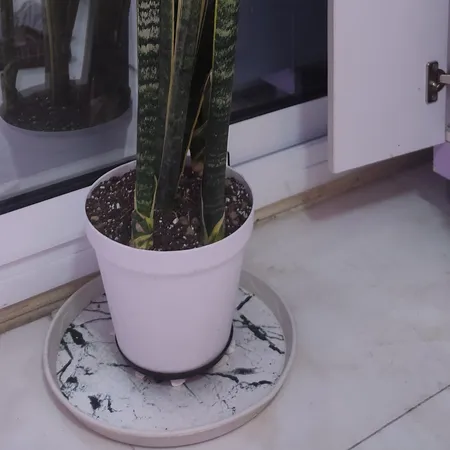 گلدان شهرآذین مدل رویال 2000