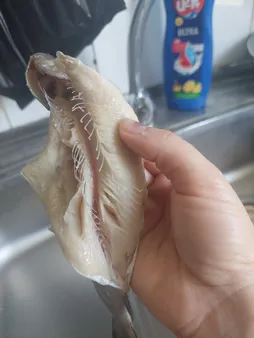 ماهی قزل آلا شکم خالی منجمد بیستون صید - 1 کیلوگرم