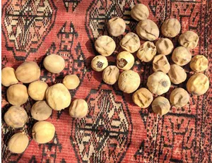 تجریه خرید لیمو عمانی 125 - 130 گرم