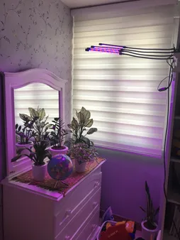 چراغ رشد گیاه 40 وات مدل Quad Head