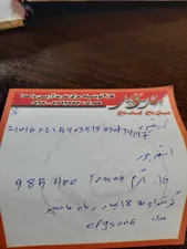 تجریه خرید گوشواره طلا 18 عیار زنانه مانچو مدل efgs005