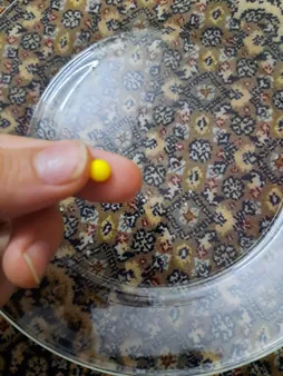 تیر ژله ای مدل TRO1200 کد 400 بسته 4 عددی