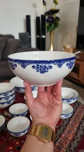 تجریه خرید ست کاسه 13 تکه چینی زرین ایران سری ایتالیا اف مدل فلورانس درجه یک