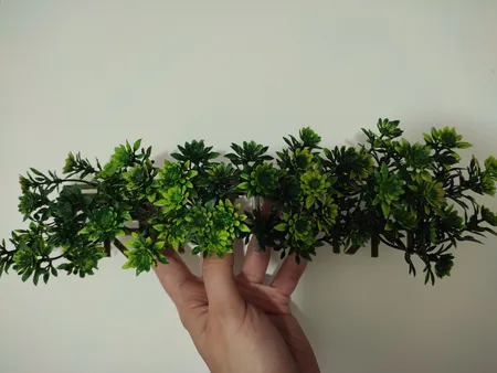 گیاه تزیینی آکواریوم مدل چمن خطی مونت کارلو