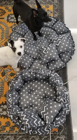 جای خواب سگ و گربه مدل star8