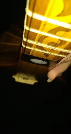 سه تار ایران ساز مدل barg33