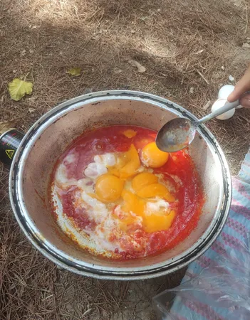 اجاق گاز سفری مدل 202