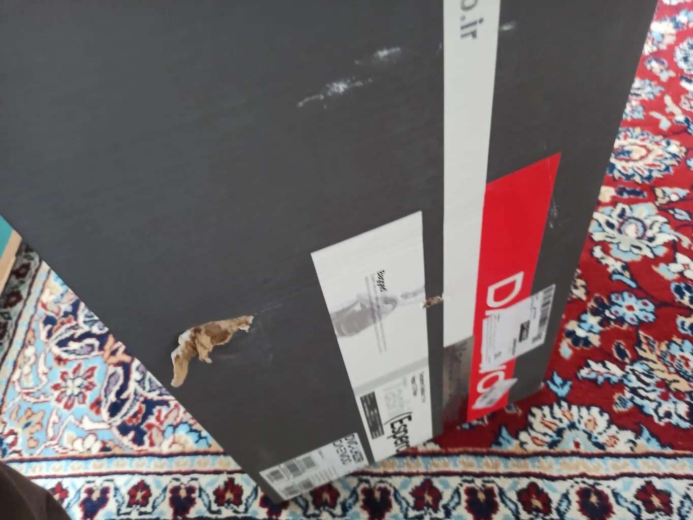 جاروبرقی ۱۴۰۰ وات دوو مدل DVC-LH22R