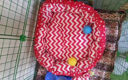 جای خواب سگ و گربه مدل star8