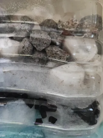 ذغال اکتیو مدل HD بسته 200 گرمی