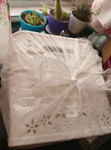 تجریه خرید سبد نظم دهنده یخچال نازگل کد 258 بسته 3 عددی