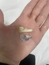 تجریه خرید سنگ آمیتیست مدل ژئود کد NG2773