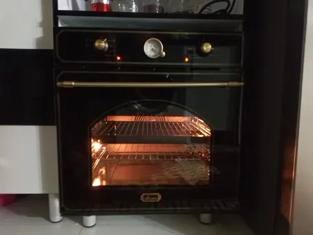 فر برقی داتیس مدل DF-655