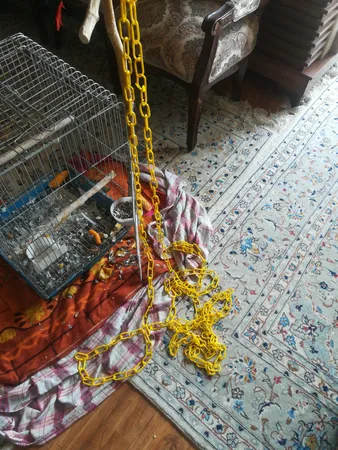 زنجیر زاه بند پلاستیکی سبلان 10 متر