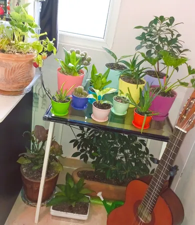 گلدان مدل آیما 15 مجموعه 6 عددی