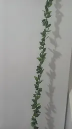 گل مصنوعی مدل ریسه برگ کد 398 طول 7/5 متر