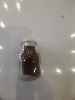 بذر پلنت آکواریوم مدل چمن ریز کوبایی