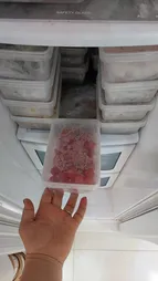 ظرف نگهدارنده فریزری مدل 650 بسته 10 عددی