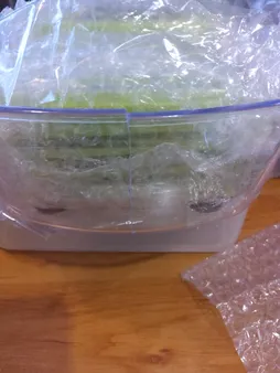 سالاد ساز یونیک استار مدل B413