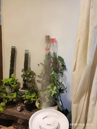 دستگاه بخور سرد میجیا مدل Humidifier 2 Lite MJJSQ06DY