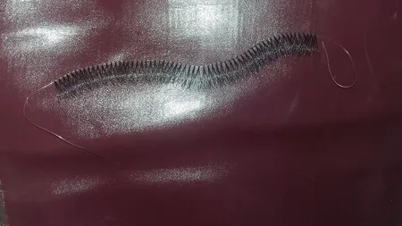 مژه مصنوعی مدل 01