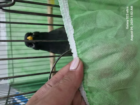 کاور قفس حیوانات مدل 1033