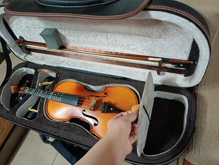 هاردکیس ویولن مدل MAGHSN