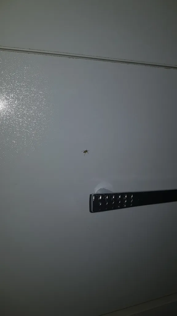 دراور اعیان مدل FH129