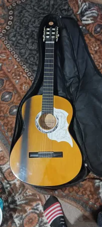 گلپیدور گیتار مدل FD30