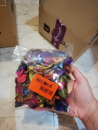 گل خشک مدل Hollands