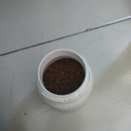 غذای خشک ماهی انرژی مدل مینی گرانول 20 گرم