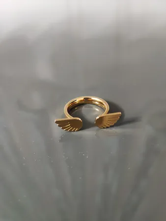 انگشتر زنانه مدل استیل بال فرشته 123