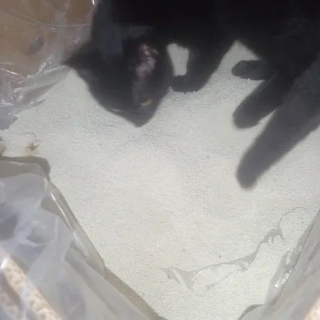 خاک بستر گربه تهران کت مدل گرانول وزن 10 کیلوگرم