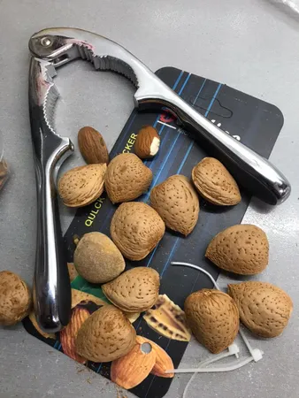 بادام و فندق شکن بدیس مدل 01