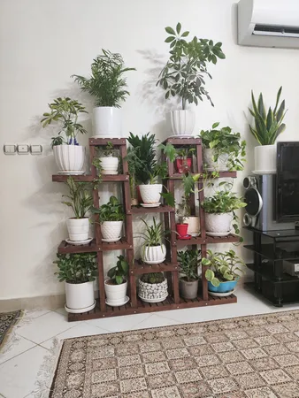 استند گل و گلدان مدل gol6