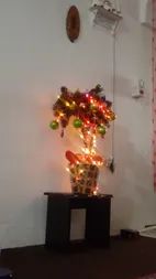 ریسه ال ای دی کد 100-LED طول 10 متر