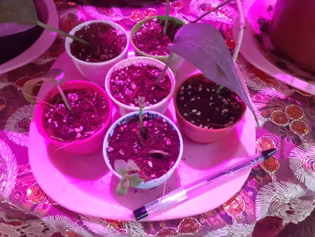 گلدان کلاسیک مدل G3006 مجموعه 10 عددی