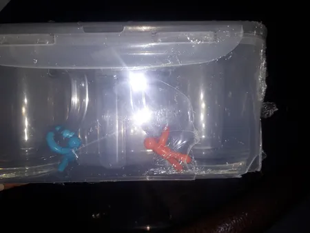 ست پیک نیک لیمون مدل 4 نفره کد 1783