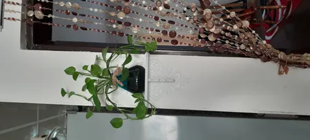 شلف دیواری مدل لوزی کد 09030035 سایز متوسط