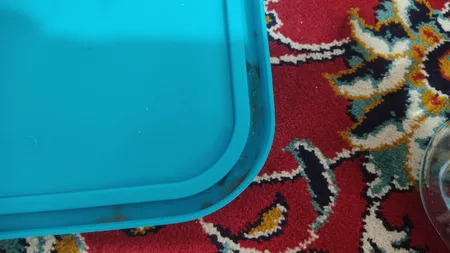 ظرف نگهداره غذا بلور کاوه مدل Classic بسته 3 عددی