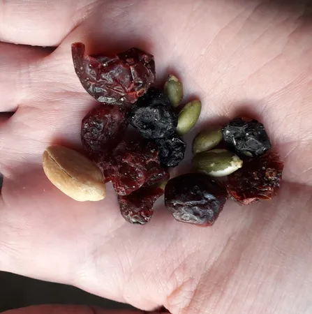 میکس بری مانی - 60 گرم