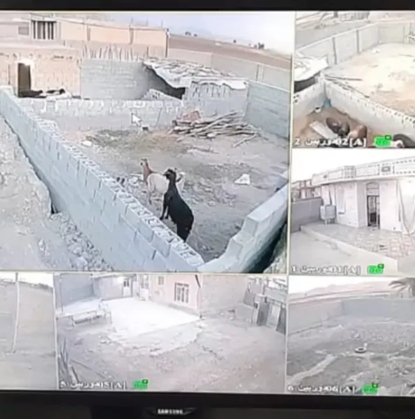عکس ارسالی خریدار