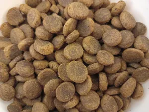 تجریه خرید غذای خشک سگ مفید مدل MAXI وزن 8 کیلوگرم