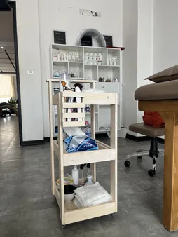 ترولی مدل هنری