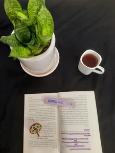 تجریه خرید کتاب وابی سابی اثر بث کمپتن نشر میلکان