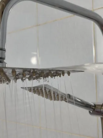 علم دوش حمام رانا مدل cr01