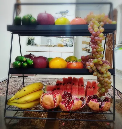 استند جا ادویه ای نیل آرت مدل راد